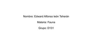 Nombre: Edward Alfonso león Teherán
Materia: Fauna
Grupo: D131
 