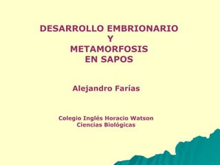 DESARROLLO EMBRIONARIO Y METAMORFOSIS  EN SAPOS Alejandro Farías Colegio Inglés Horacio Watson Ciencias Biológicas 