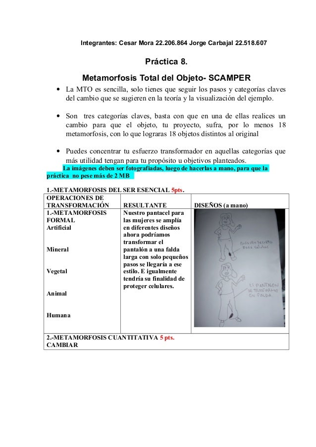 Metamorfosis Total Del Objeto