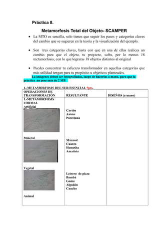 Metamorfosis Total Del Objeto 1
