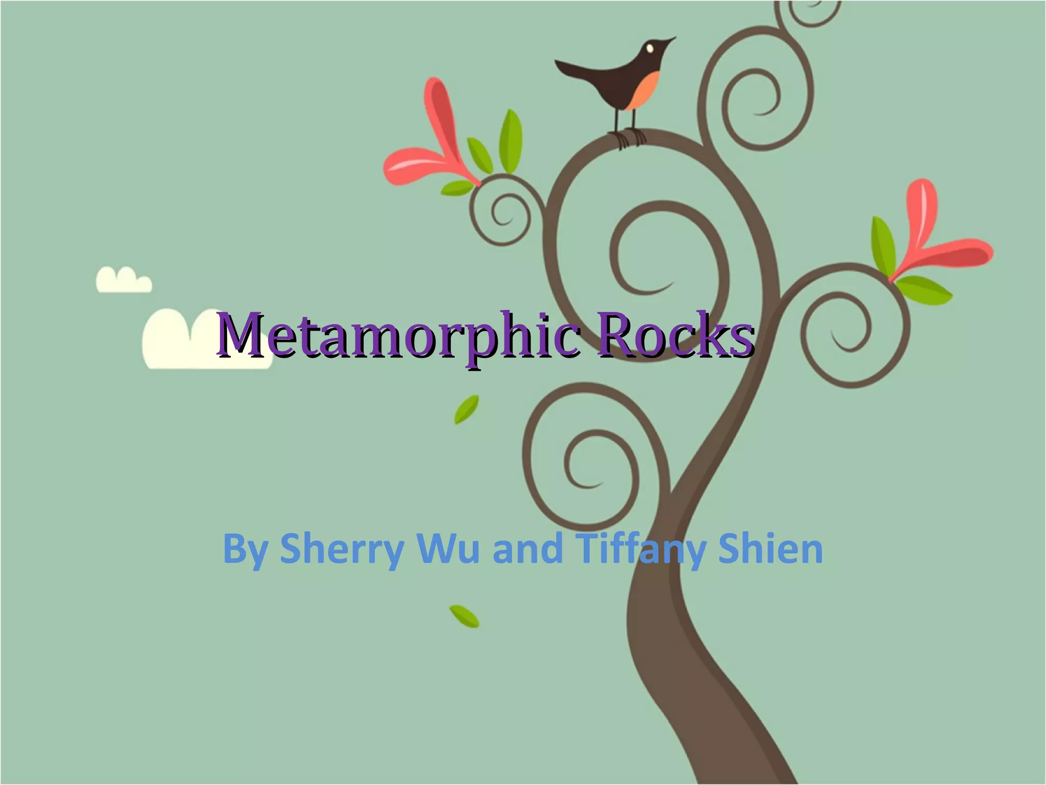 Metamorphic rocks PPT