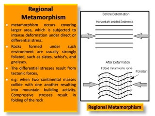 Regional
Metamorphism
 metamorphism occurs covering
larger area, which is subjected to
intense deformation under direct or
differential stress.
 Rocks formed under such
environment are usually strongly
foliated, such as slates, schist's, and
gneisses.
 The differential stresses result from
tectonic forces,
 e.g. when two continental masses
collide with one another resulting
into mountain building activity.
Compressive stresses result in
folding of the rock
Regional Metamorphism
 