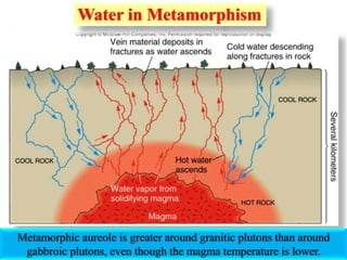 Water in Metamorphism
Metamorphic aureole is greater around granitic plutons than around
gabbroic plutons, even though the magma temperature is lower.
 