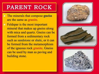  The minerals that compose gneiss
are the same as granite.
 Feldspar is the most important
mineral that makes up gneiss along
with mica and quartz. Gneiss can be
formed from a sedimentary rock
such as sandstone or shale, or it can
be formed from the metamorphism
of the igneous rock granite. Gneiss
can be used by man as paving and
building stone.
 