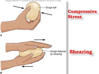 Compressive
Stress
Shearing
 