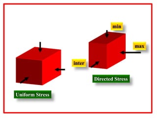 Uniform Stress
Directed Stress
min
inter
max
 