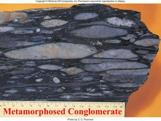 Metamorphosed Conglomerate
 