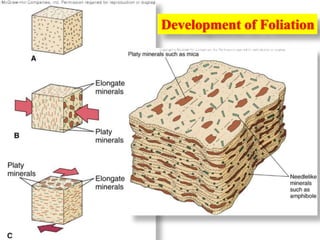 Development of Foliation
 