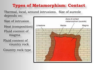 Types of Metamorphism: Contact
Thermal, local, around intrusions. Size of aureole
depends on:
Size of intrusion
Heat (composition)
Fluid content of
magma
Fluid content of
country rock
Country rock type
 