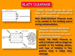- Usually formed during the early
stage of Low-grade Metamorphism
due to Lithostatic stress.
New sheet-structure minerals tends
to be parallel to the bedding planes
during metamorphism.
- However, further deep burial
along the continental margin;
compressional forces will cause
deformation (folding).
hence, the sheet minerals as
well as foliation will no longer be
parallel to the bedding planes,
such type of foliation in fine
grained rocks is called slaty
cleavage.
 