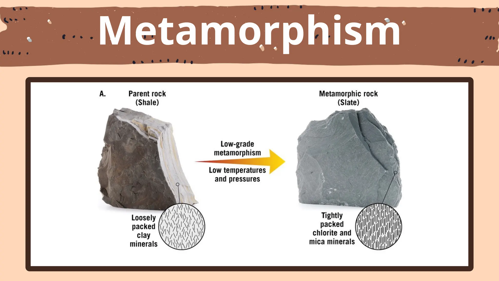 Metamorphism
 