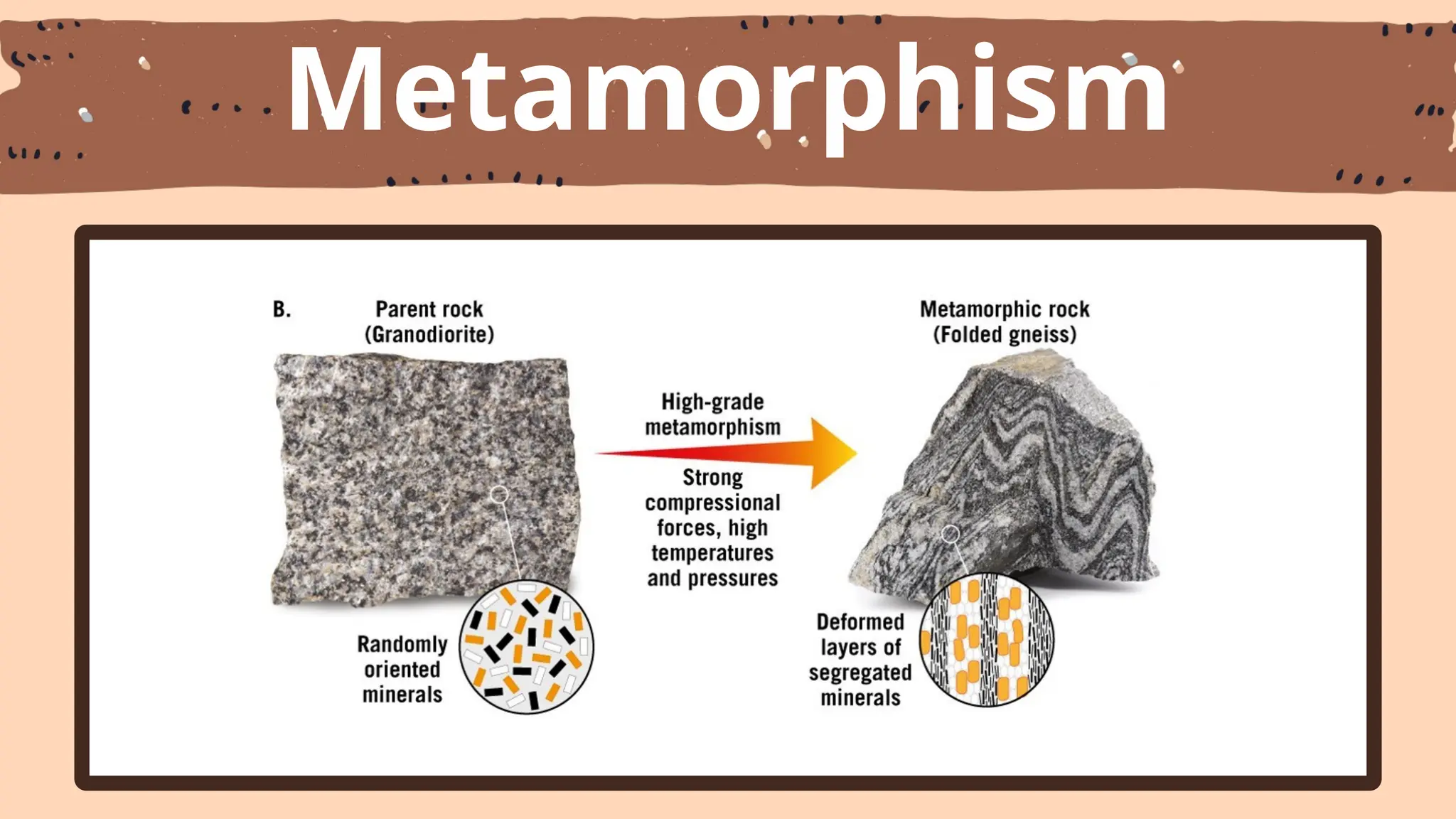 Metamorphism
 