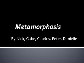 Metamorphosis By Nick, Gabe, Charles, Peter, Danielle 