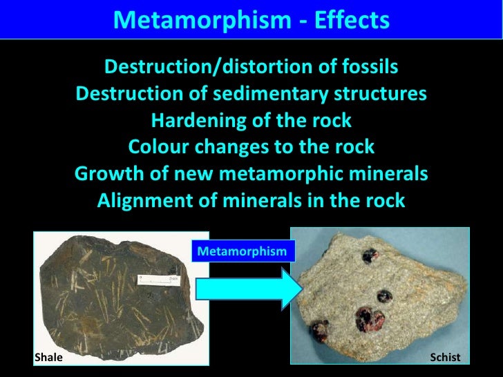 Metamorphism intro