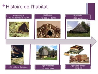 + Histoire de l’habitat
Paléolithique
- 1.8 mio d’années à -12 000

- 2.4 millions d’années

Néolithique
- 12 000 à - 3 200

Age du fer
-800 à - 52

Age de bronze
- 3 200 à -800

Age Gallo-romain
-52 à 476

 