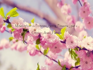 Metamorphose du printemps spring primavera _ part 6 _ by anais_hanahis