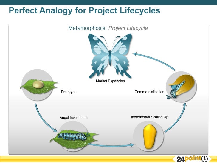 Metamorphosis A Great Lifecycle Analogy for Business PPT Presentati…