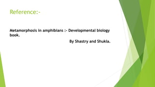Reference:-
Metamorphosis in amphibians :- Developmental biology
book.
By Shastry and Shukla.
 