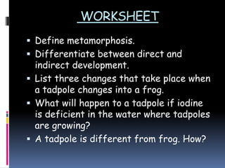 WORKSHEET
 Define metamorphosis.
 Differentiate between direct and
indirect development.
 List three changes that take place when
a tadpole changes into a frog.
 What will happen to a tadpole if iodine
is deficient in the water where tadpoles
are growing?
 A tadpole is different from frog. How?
 