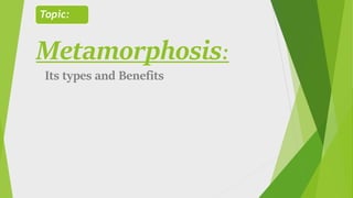 Metamorphosis:
Its types and Benefits
Topic:
 