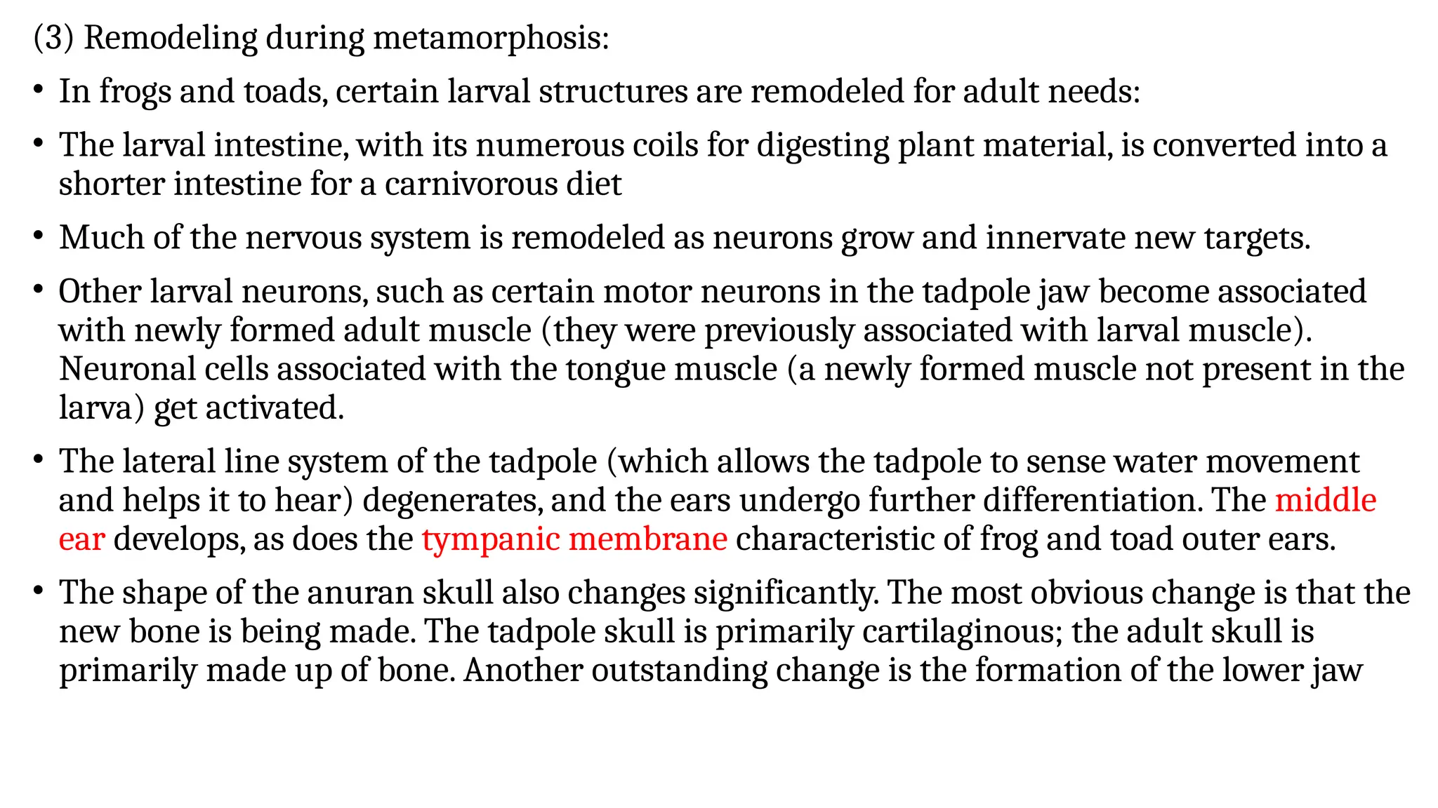Metamorphosis Event metamorphosis_event. The changes in the stages from a larva to an adult ...
