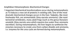 Metamorphosis Event metamorphosis_event. The changes in the stages from a larva to an adult ...