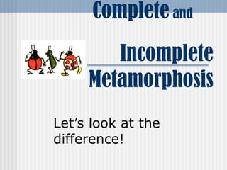 Complete  and    Incomplete Metamorphosis Let’s look at the difference! 