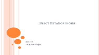 INSECT METAMORPHOSIS
Zoo 514
Dr. Reem Alajmi
 
