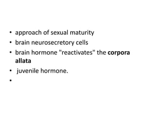 • approach of sexual maturity
• brain neurosecretory cells
• brain hormone "reactivates" the corpora
allata
• juvenile hormone.
•
 
