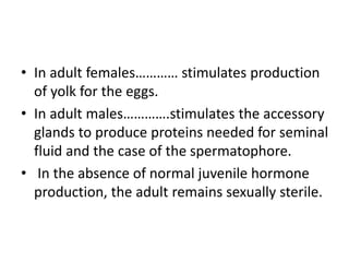 • In adult females………… stimulates production
of yolk for the eggs.
• In adult males………….stimulates the accessory
glands to produce proteins needed for seminal
fluid and the case of the spermatophore.
• In the absence of normal juvenile hormone
production, the adult remains sexually sterile.
 
