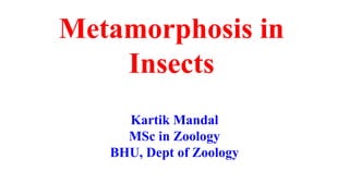 Metamorphosis in
Insects
Kartik Mandal
MSc in Zoology
BHU, Dept of Zoology
 