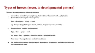 Types of Insects (accor. to developmental pattern)
There are three major patterns of insect development.
1. ametabolous: After a brief pronymph stage, the insect looks like a small adult, e.g; Springtail.
2. Hemimetabolus/ Incomplete metamorphosis :
Eggs → Pronymph → Nymph → Adult
e.g; Hemipter (bugs), Orthoptera (locusts, crickets), Dictyoptera (roaches, mantids).
3. Holometabolous/ complete metamorphosis :
Eggs → larva → pupa → adult
e.g; Diptera (flies), Lepidoptera (butterflies, moths), Coleoptera (beetles).
Note: Instar - The stages between moults is termed instar.
● The last larval instar moults to become a pupa. An outwardly dormant stage in which extensive internal
reorganisation takes place.
 