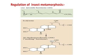 Regulation of insect metamorphosis:-
 