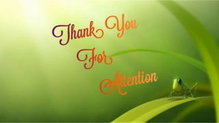 Metamorphosis in insects ppt.pptx