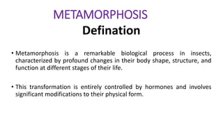 METAMORPHOSIS
Defination
• Metamorphosis is a remarkable biological process in insects,
characterized by profound changes in their body shape, structure, and
function at different stages of their life.
• This transformation is entirely controlled by hormones and involves
significant modifications to their physical form.
 