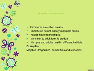 Incompletemetamorphosis
 Immatures are called naiads.
 Immatures do not closely resemble adults
 naiads have tracheal gills.
 transition to adult form is gradual
 Nymphs and adults dwell in different habitats.
Examples
Mayflies ,dragonflies ,damselflies and stoneflies
 