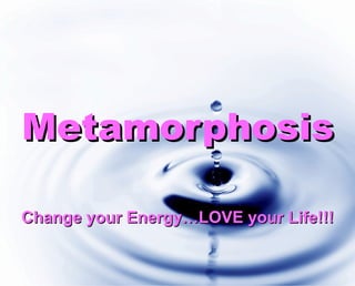 Metamorphosis Change your Energy…LOVE your Life!!! 