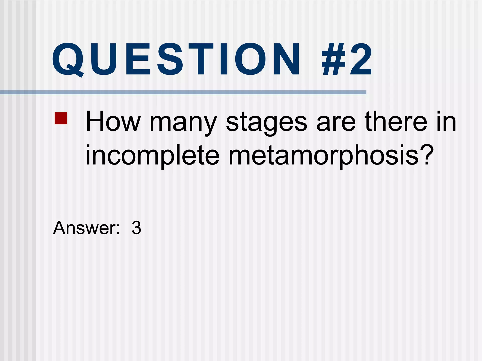 QUESTION #2
 How many stages are there in
incomplete metamorphosis?
Answer: 3
 