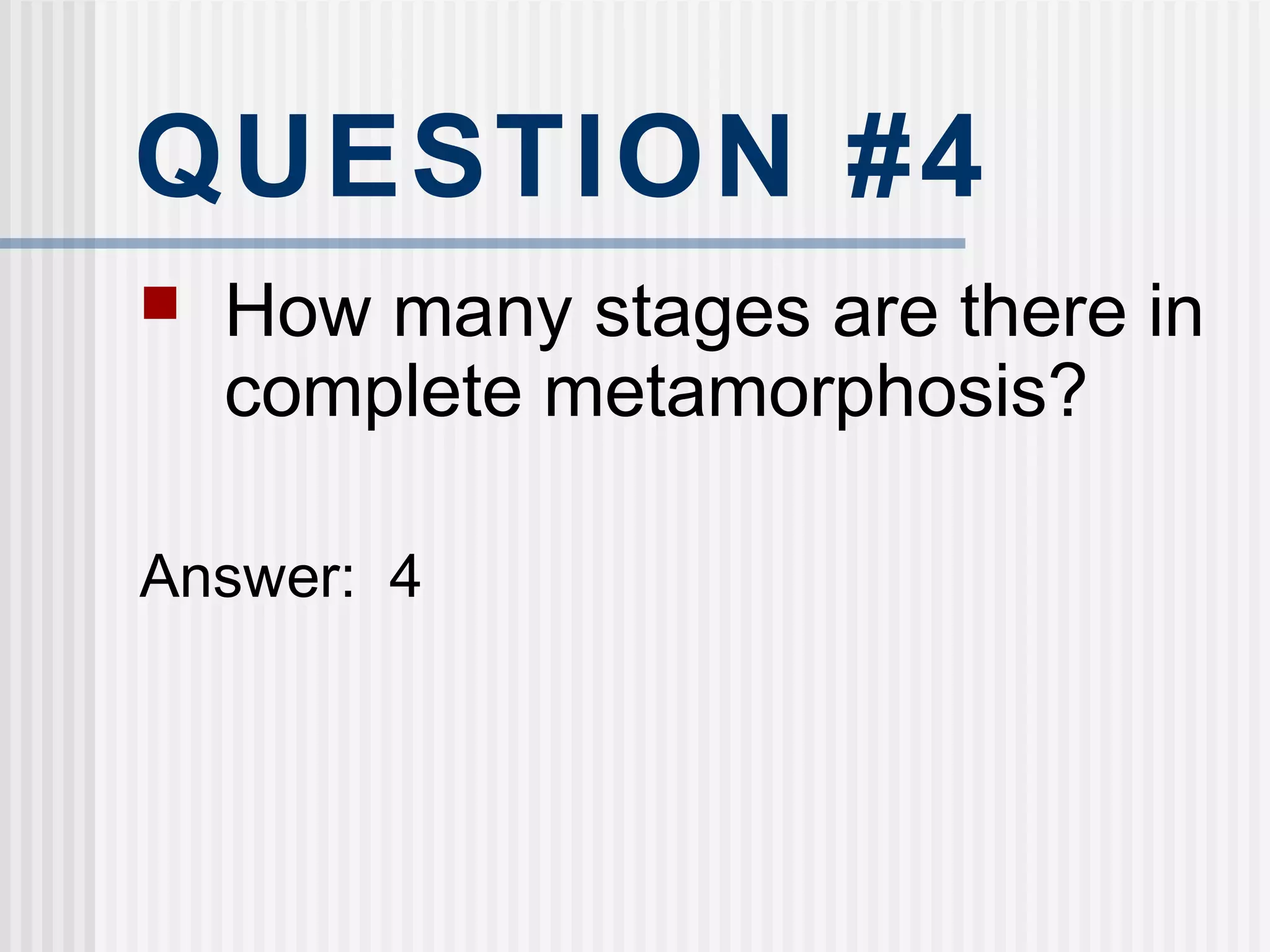 QUESTION #4
 How many stages are there in
complete metamorphosis?
Answer: 4
 