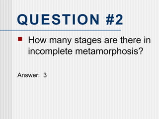 QUESTION #2
 How many stages are there in
incomplete metamorphosis?
Answer: 3
 