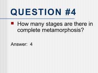 QUESTION #4
 How many stages are there in
complete metamorphosis?
Answer: 4
 