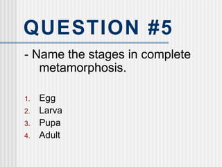 QUESTION #5
- Name the stages in complete
metamorphosis.
1. Egg
2. Larva
3. Pupa
4. Adult
 