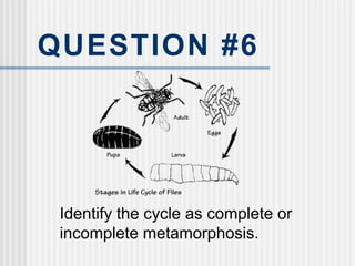QUESTION #6
Identify the cycle as complete or
incomplete metamorphosis.
 