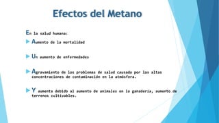 Efectos del Metano
En la salud humana:
 Aumento de la mortalidad
 Un aumento de enfermedades
 Agravamiento de los problemas de salud causado por las altas
concentraciones de contaminación en la atmósfera.
 Y aumenta debido al aumento de animales en la ganadería, aumento de
terrenos cultivables.
 