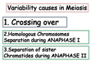 Variability causes in Meiosis
1. Crossing over
3.Separation of sister
Chromatides during ANAPHASE II
2.Homologous Chromosomes
Separation during ANAPHASE I
 