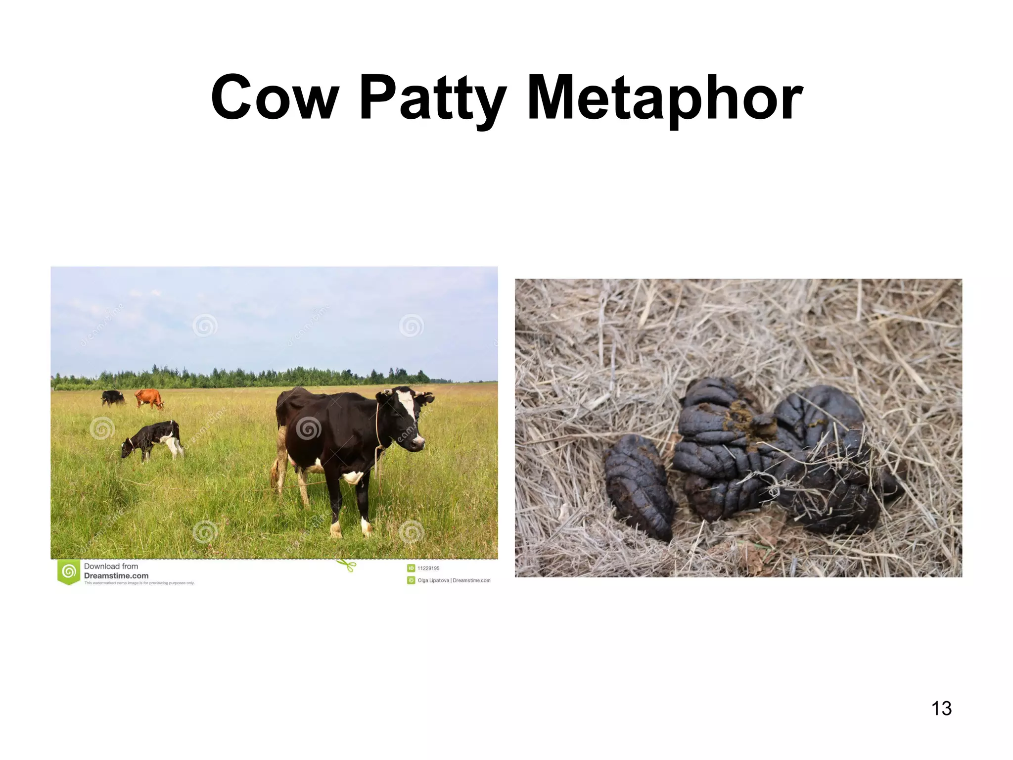 Cow Patty Metaphor
13
 