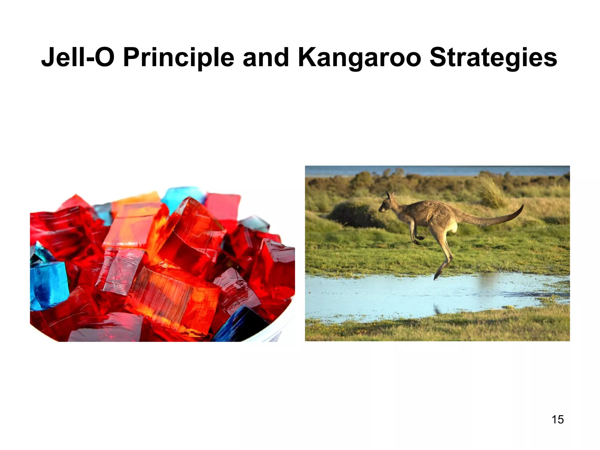 Jell-O Principle and Kangaroo Strategies
15
 