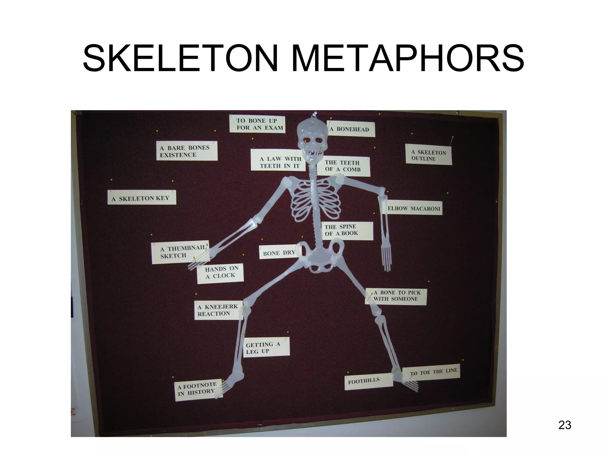 23
SKELETON METAPHORS
 