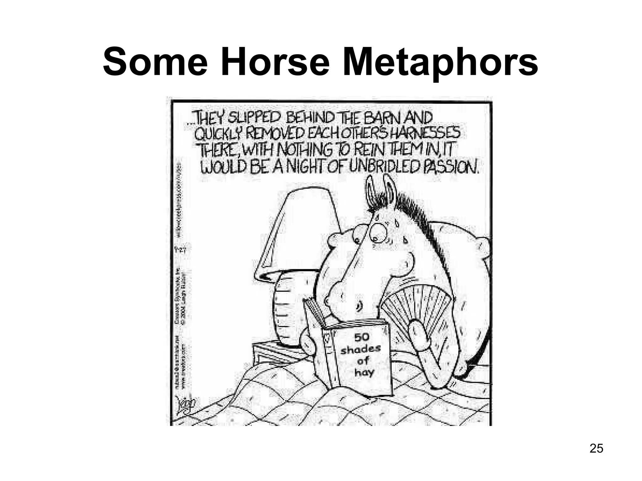 Some Horse Metaphors
25
 