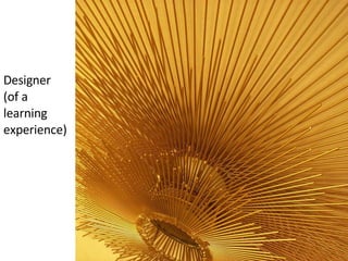 Designer  (of a learning experience) 